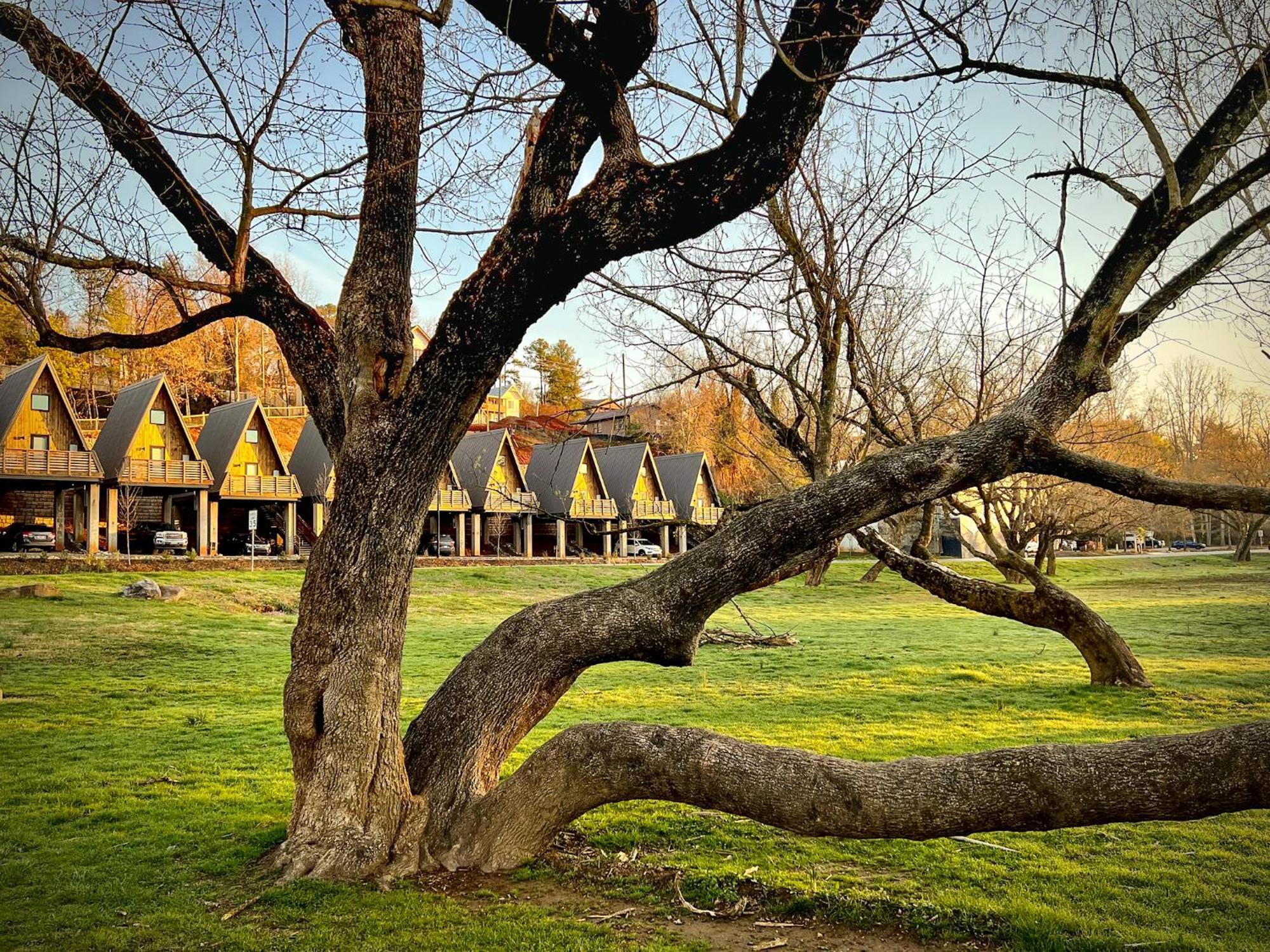 Wrong Way River Lodge & Cabins Asheville Zewnętrze zdjęcie